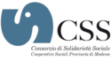 CSS 